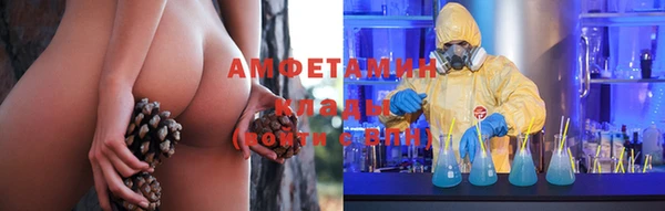 скорость Каменногорск