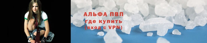 скорость Каменногорск