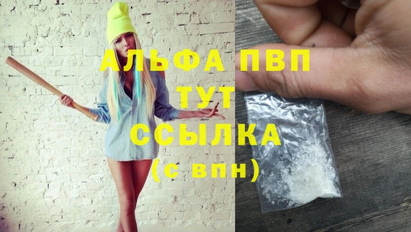 скорость Каменногорск