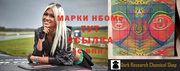 скорость Каменногорск
