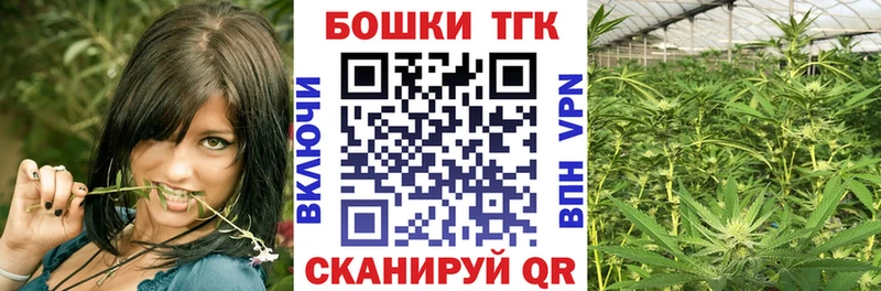Купить закладки  Карачев  Шишки марихуана ГИДРОПОН 